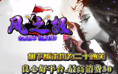 枭雄天下之风之极